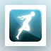 Team Developer