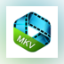 4Videosoft MKV Video Converter