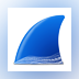 Wireshark