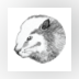 dbeaver