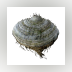 Samorost 2