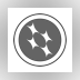 NVivo