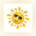 Screen Shades Pro