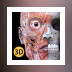 Anatomy 3D Atlas
