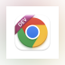 Google Chrome