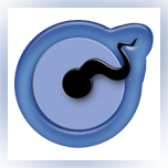 Embryodynamics