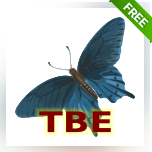 The Butterfly Effect