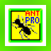 Ant Run Pro