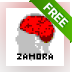 Zamora Personality Test