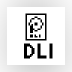 DLI Audio Logger