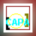 CAPA Facilitator Pro