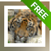 Free Tiger Pictures Screensaver