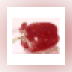 prog_icon