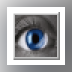Internet Watcher 2000