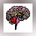 Visual brainfuck