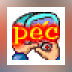 PEC Psx Emulator Cheater