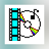 Rapid Video Capture