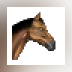 My Horse and Me 2