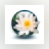 Yanicsoft Flash Desktop