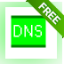 Interactive DNS Query