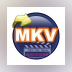 OJOsoft MKV Converter