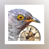 Cuckoo Clock 3D Screensaver