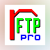 RFtp Professional