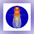 Drosophila Genetics Lab