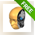 BrainVoyager Brain Tutor