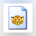 Cheetah Video Converter