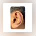 Dolce Ear Training