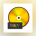 iCoolsoft DVD to MKV Converter