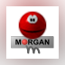 Morgan M-JPEG2000 codec