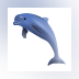 Dolphin Aqua Life Screensaver