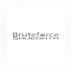 Bruteforce Save Data