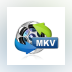 Bros MKV Converter