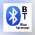 Blue Terminal