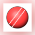 Cricket Statz Pro