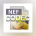 NEF Codec Preferences