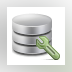 Custom Database Software