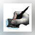 prog_icon