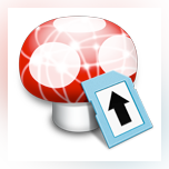 Wii Transfer