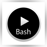 Run Bash