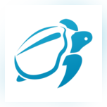 Portfolio mobile