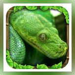 SnakeSimulator