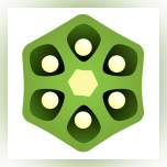 Okra