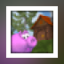 Piggly
