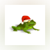 Christmas Super Frog