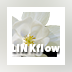 basICColor LINKflow
