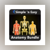 Anatomy Bundle by WAGmob